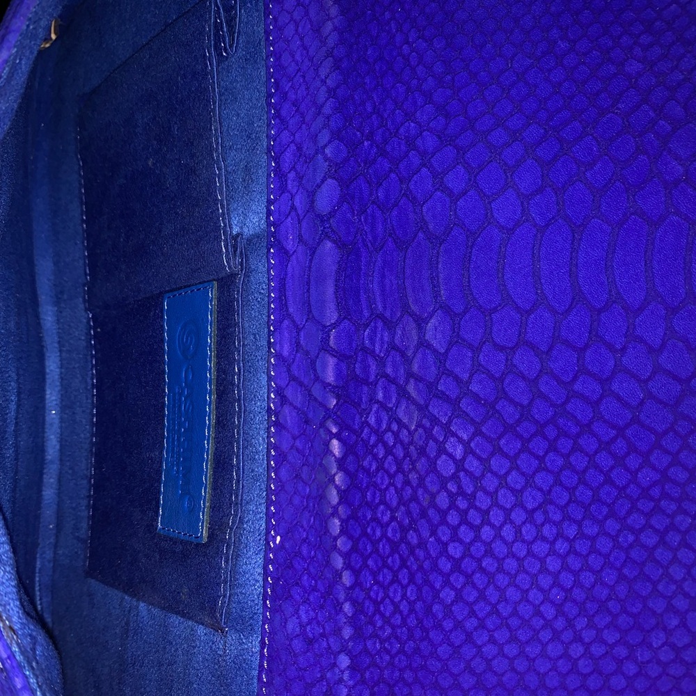 CASHHIMI BLUE PYTHON CLUTCH - Picture 4 of 8